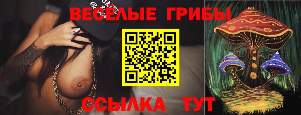 Псилоцибиновые грибы GOLDEN TEACHER  Галлюциногенные грибы Cubensis  Вход с VPN  Рубцовск 